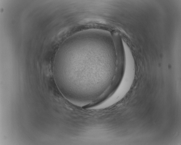 X0000075820965200610061753