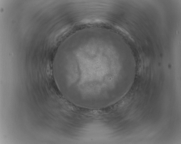 X0000075820966200610061753