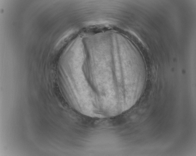 X0000075820967200610061753