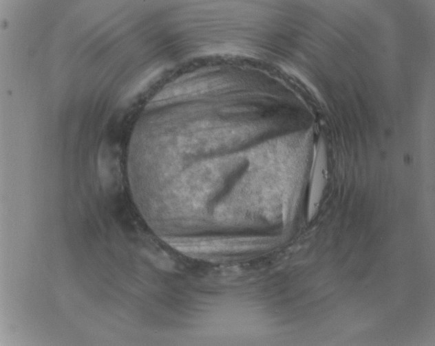 X0000075820968200610061753