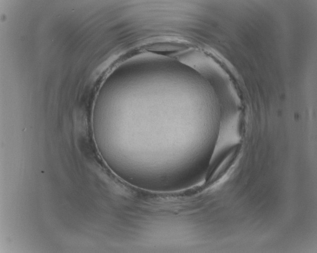 X0000075820969200610061753