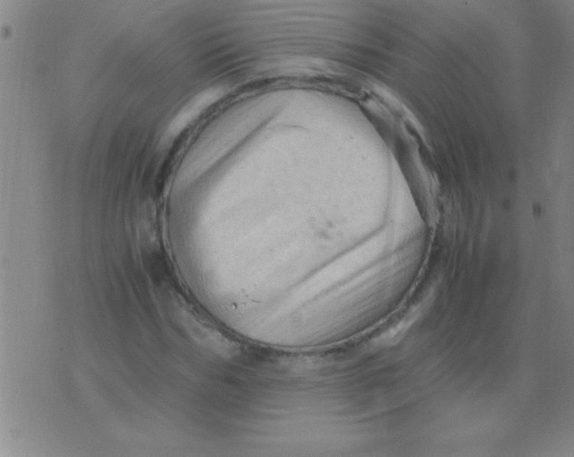 X0000075820970200610061753