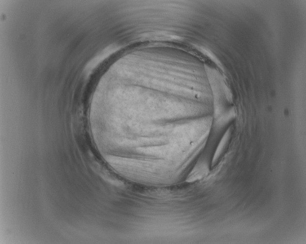 X0000075820971200610061753