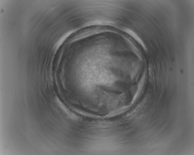 X0000075820972200610061753