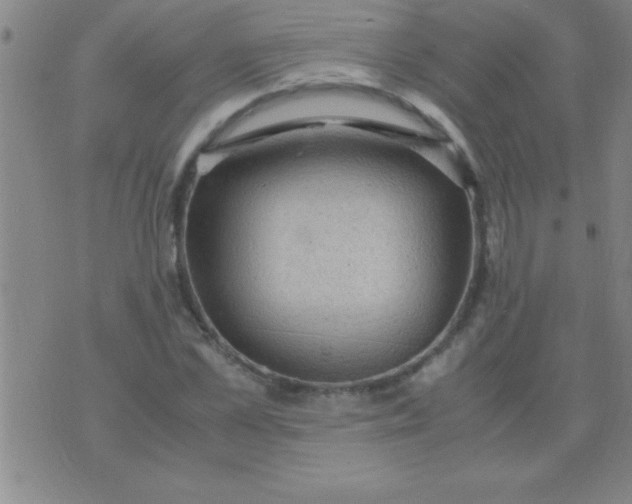 X0000075820973200610061752