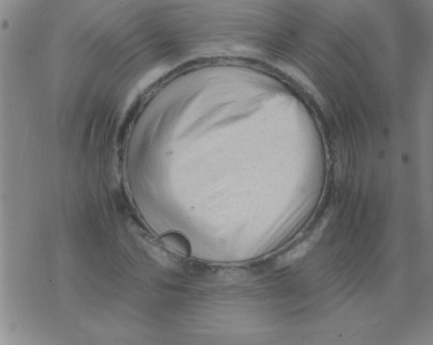 X0000075820974200610061752