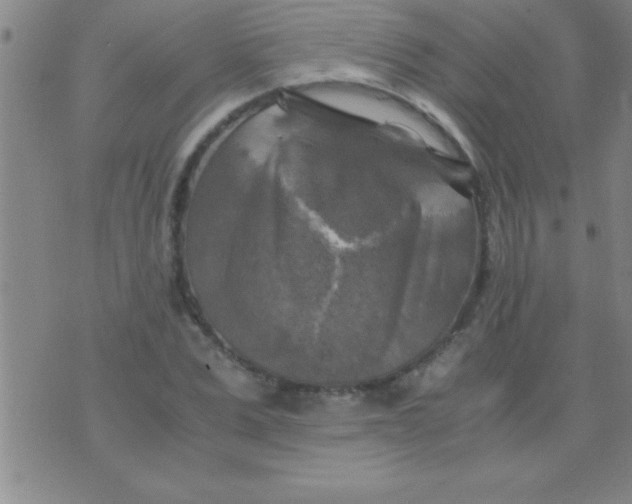 X0000075820975200610061752