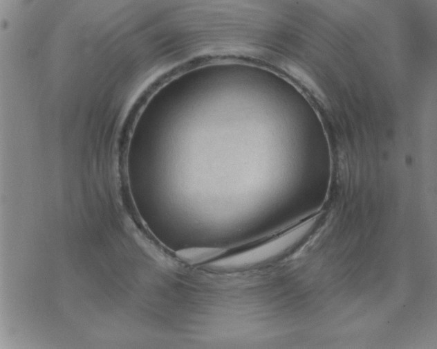 X0000075820976200610061752