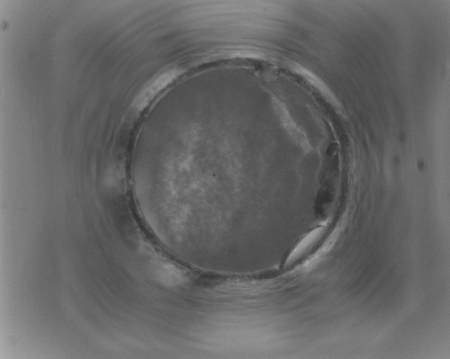 X0000075820977200610061752