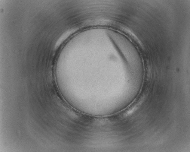 X0000075820978200610061752