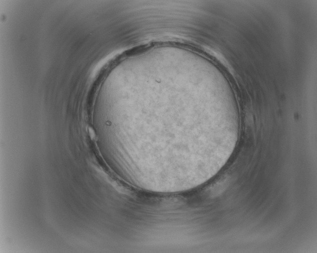 X0000075820979200610061752