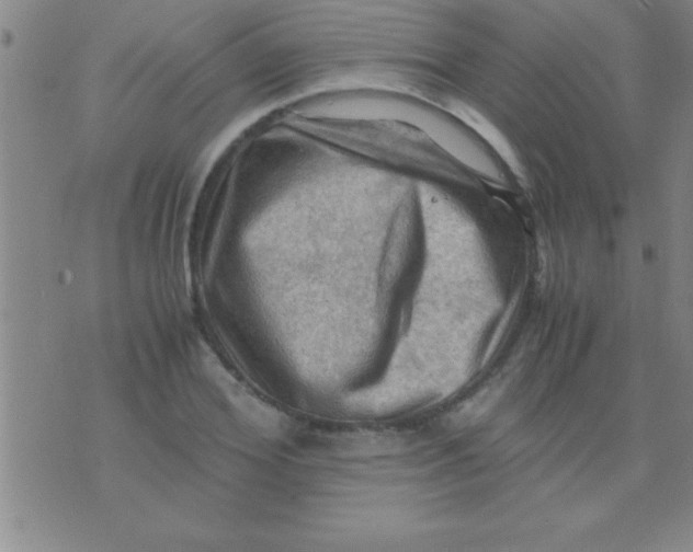 X0000075820980200610061752