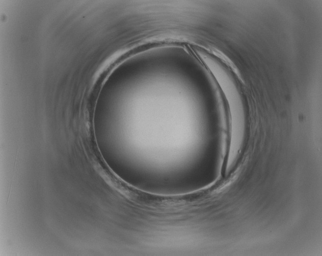 X0000075820981200610061752