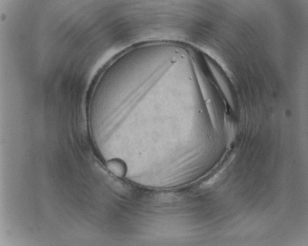 X0000075820982200610061752