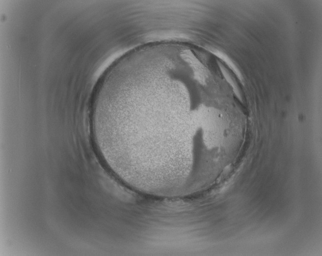 X0000075820983200610061752