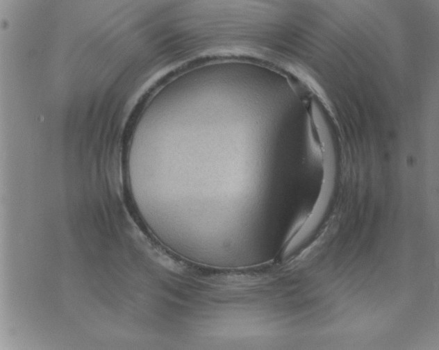 X0000075820984200610061752