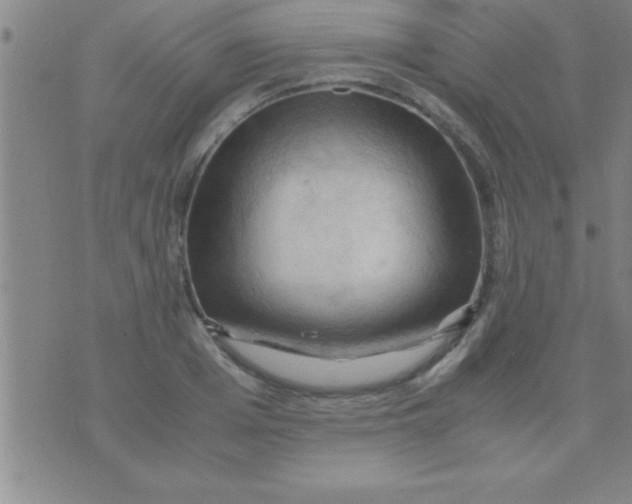 X0000075820985200610061752