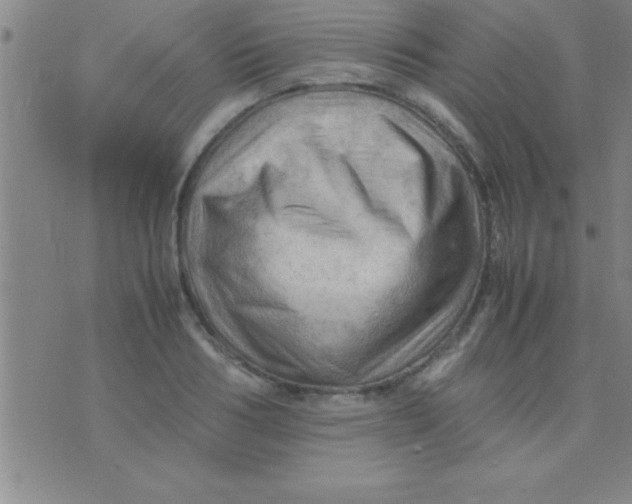 X0000075820986200610061752