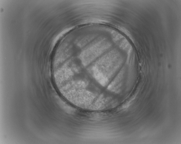 X0000075820987200610061752