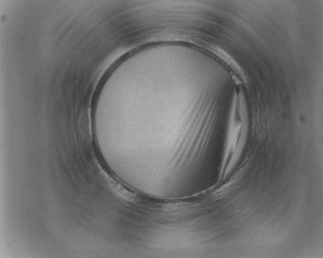 X0000075820988200610061752