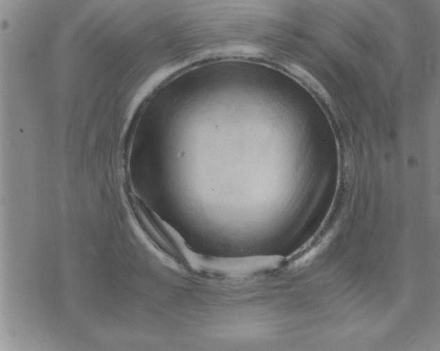 X0000075820989200610061752