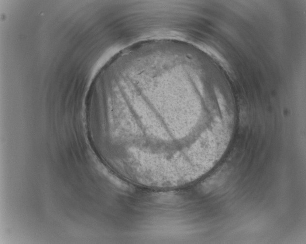 X0000075820990200610061752