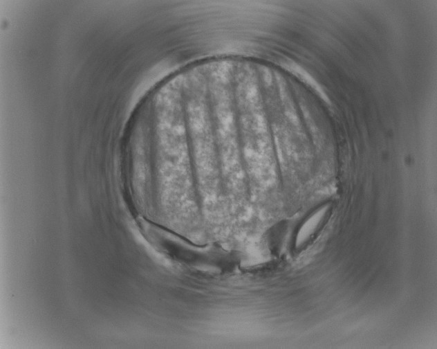 X0000075820991200610061752