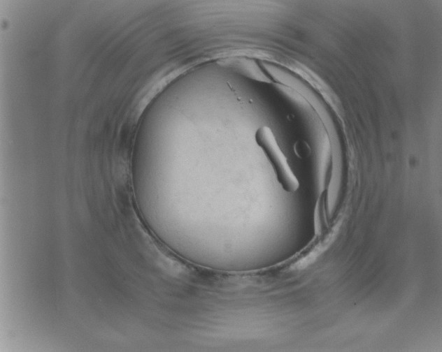 X0000075820993200610061752