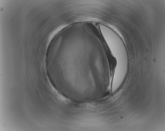 X0000075820995200610061752