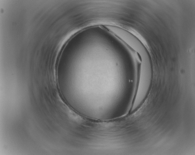 X0000075820996200610061752