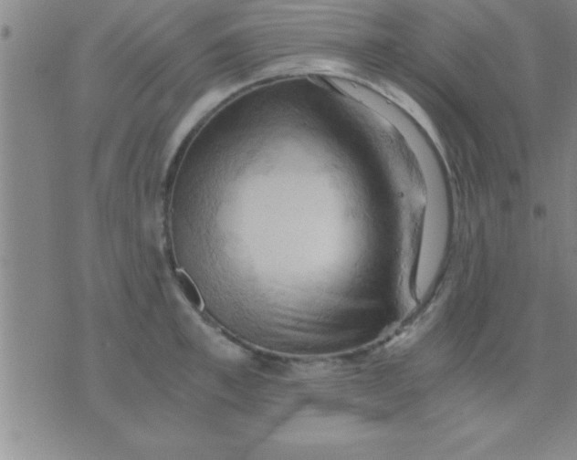 X0000075820997200610061752