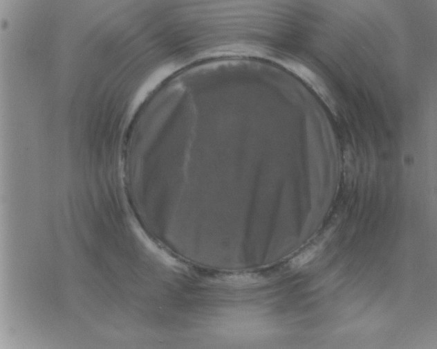 X0000075820998200610061752