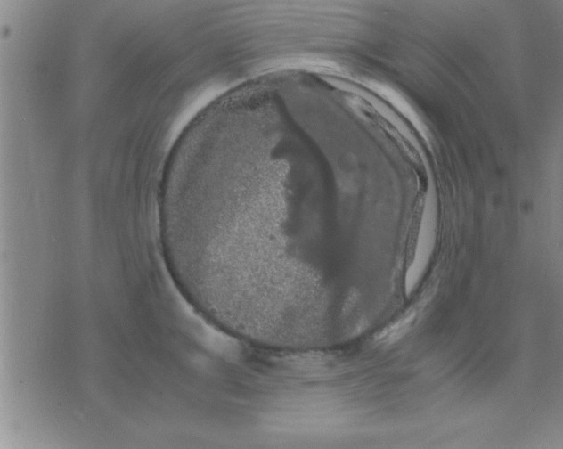 X0000075820999200610061752