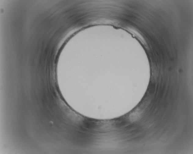 X0000075821000200610061752