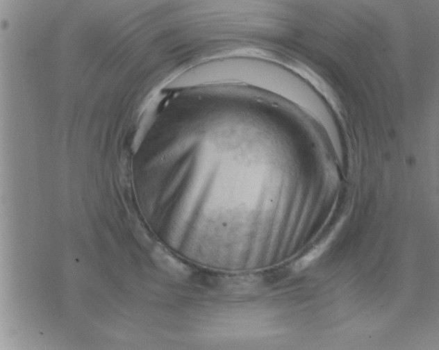 X0000075821001200610061752