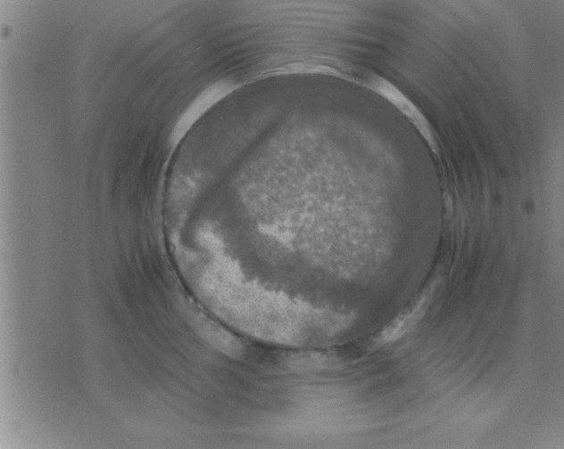 X0000075821002200610061752