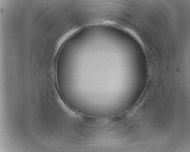 X0000075821003200610061752