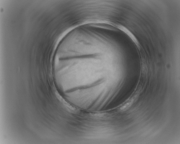 X0000075821004200610061752