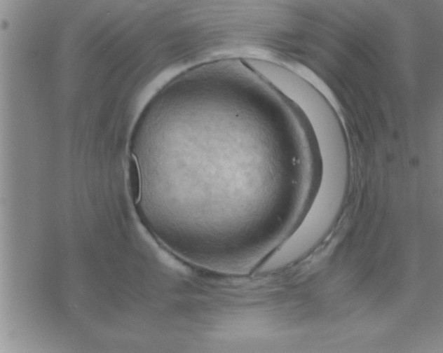 X0000075821005200610061752