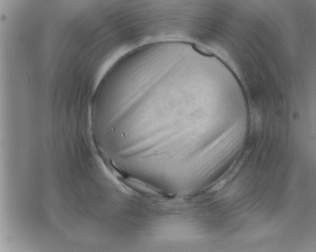 X0000075821006200610061752