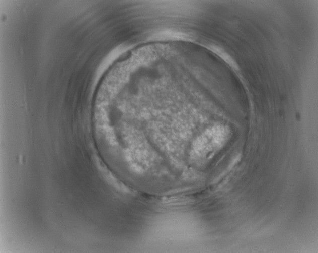 X0000075821008200610061752