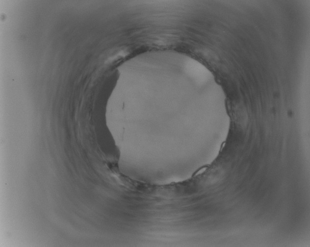 X0000075821009200610061751