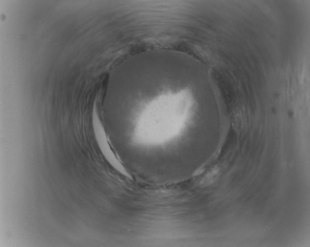 X0000075821010200610061751