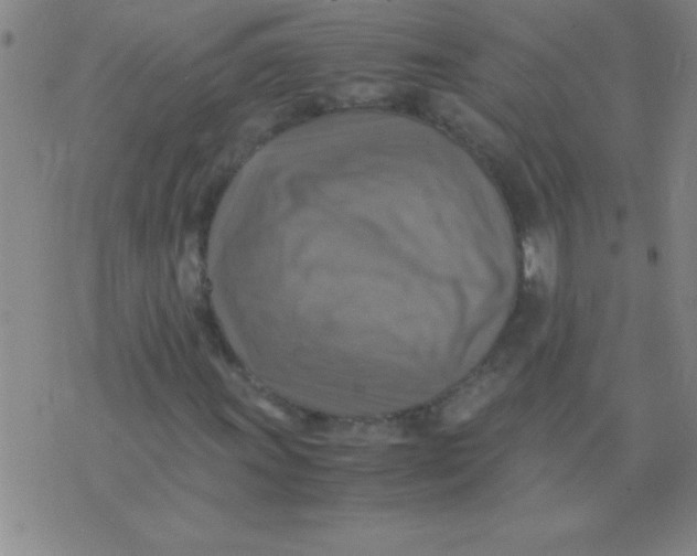 X0000075821011200610061751