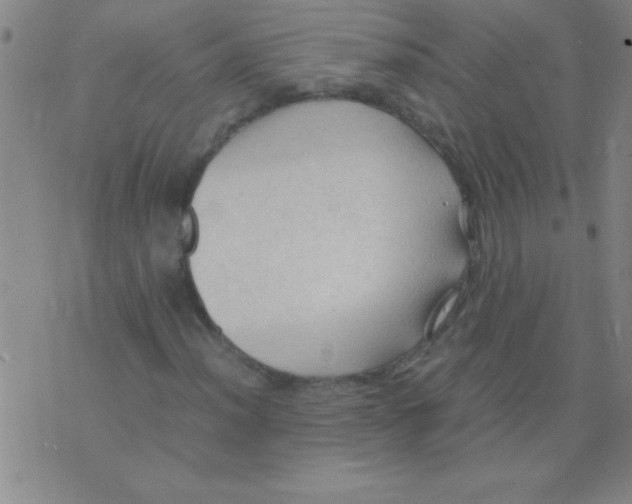 X0000075821012200610061751