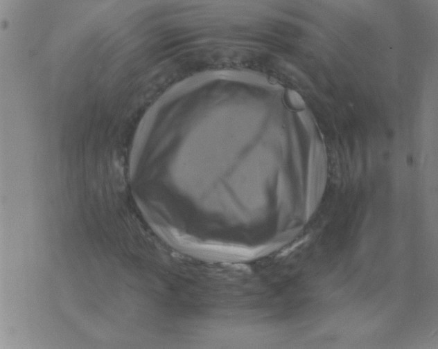 X0000075821013200610061751