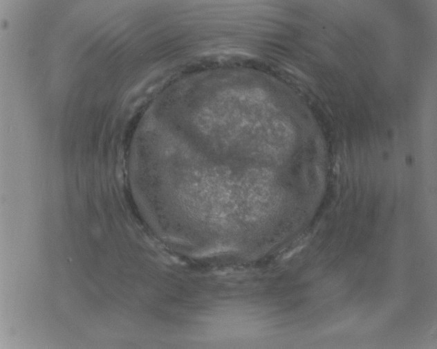 X0000075821014200610061751