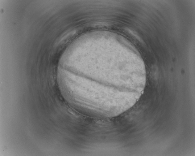 X0000075821015200610061751