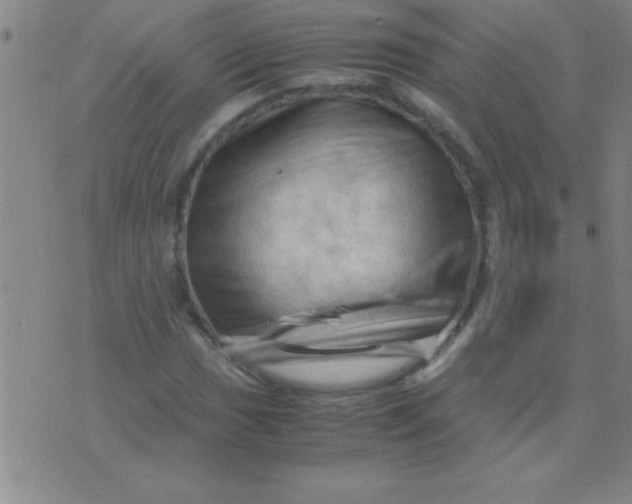 X0000075821017200610061751