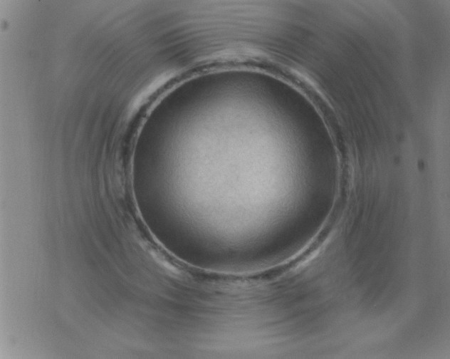 X0000075821018200610061751